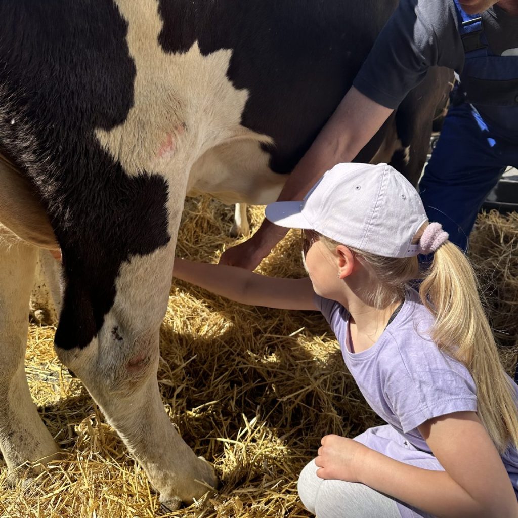 Landmanden kommer til byen. Event for hele familien i Skanderborg
